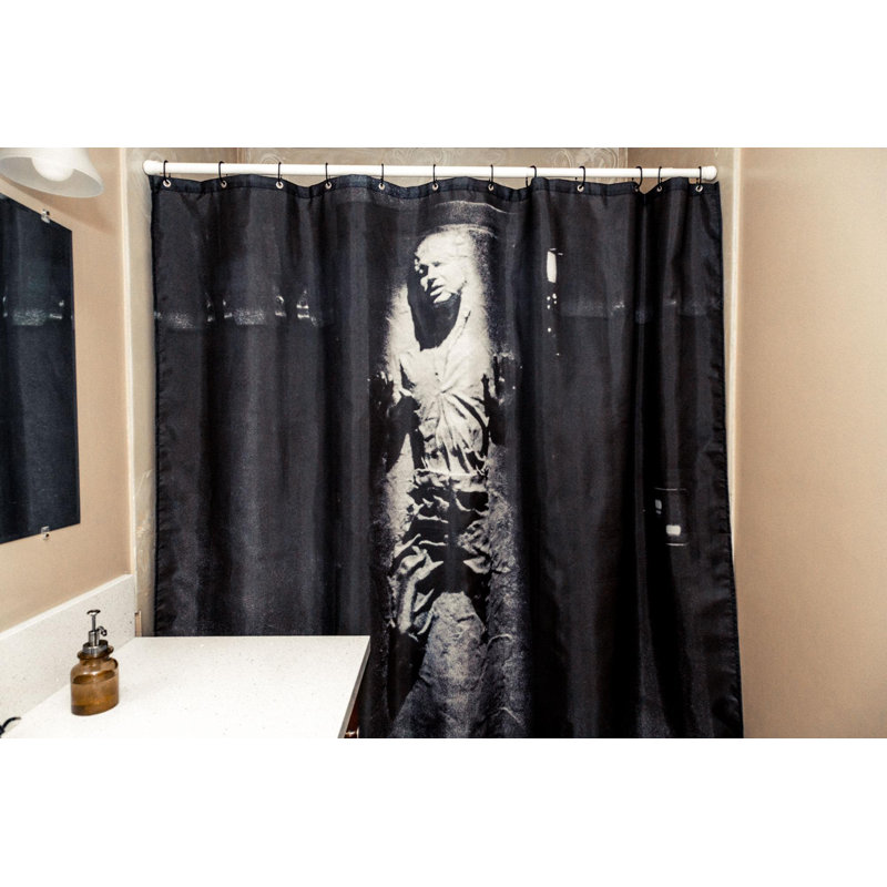 Denetta Shower Curtain with Hooks Included