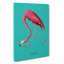 Flamingo In Teal by John Audubon - Wrapped Canvas Painting-61881468