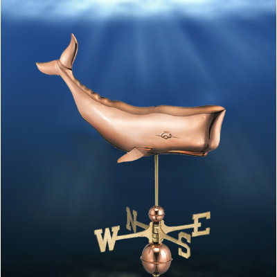 Wetterfahne Broomsedge Whale