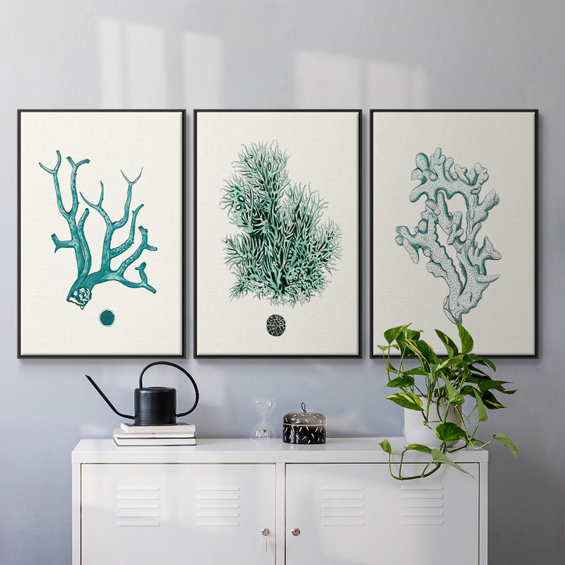 Ensemble de 3 pièces encadrées sur toile Antique Coastal Coral IV, Noir, H 40 po x l 78 po