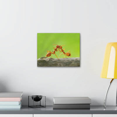 No Frame Print on Canvas