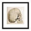 Human Skull Side View Anatomy Diagram by Landseer - Single Picture Frame Print