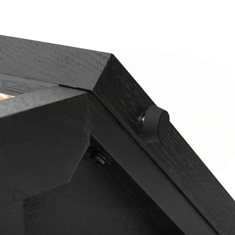 Console avec tablette inférieure et côté en rotin, Noir