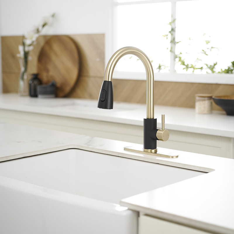VIBRANTBATH Pull Out Kitchen Faucet, Black/Gold