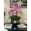 Orchidée Roberi dans un pot à fleurs-96223303