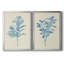 Verditer Fig I - ensemble de 2 reproductions d'art sur toile encadrées-1825456096-1825456099