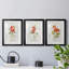 Lin géranium - ensemble de 3 reproductions de cadres photo-941215759-941215762