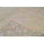 Floral Area Rug in Ivory