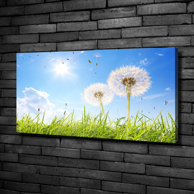 Dandelions - No Frame Print on Canvas