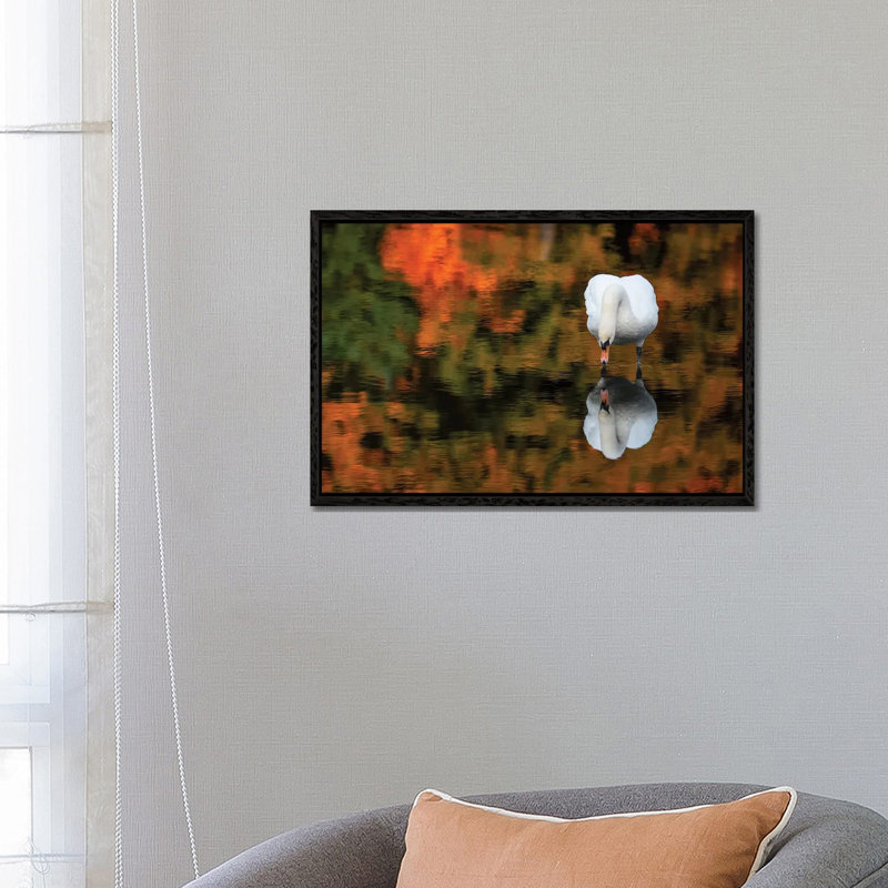 Reflected Swan by David Gardiner - Gallery-Wrapped Canvas Giclée on Canvas, Black Framed, 66.04 cm H x 45.72 cm W