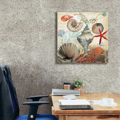 Art mural sur toile Shell Collector1 de 26 po x 26 po par Art Licensing Studio