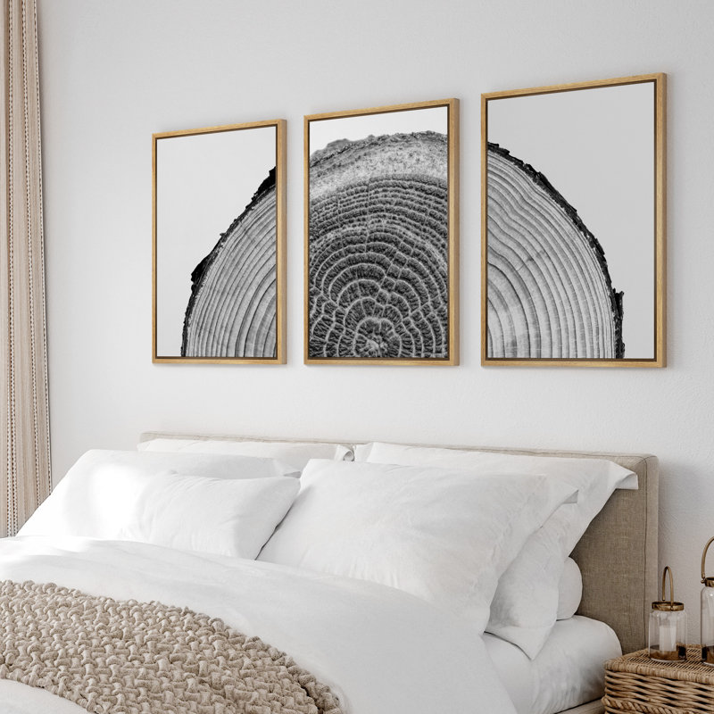 Natural Framed Black and White Tree Rings Canvas Art Set