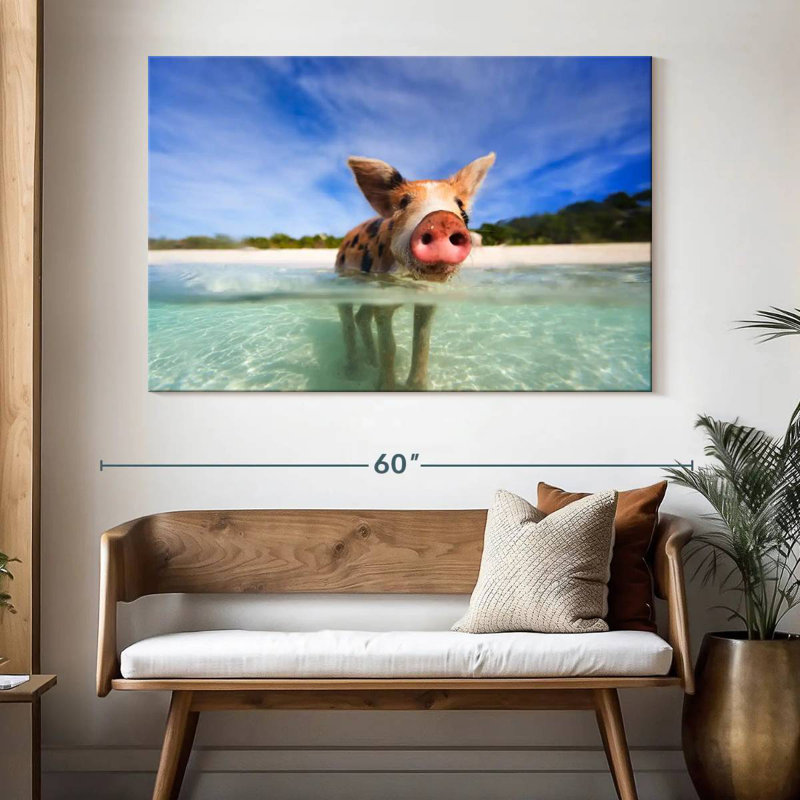 Brampt Cochon à Exuma, Bahamas, H 34 po x l 51 po