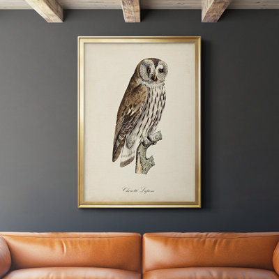 French Owls III - Picture Frame Print