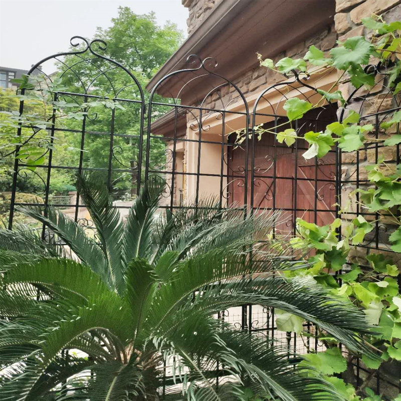 Doranna 86.7'' H x 40'' W Metal Arched Trellis