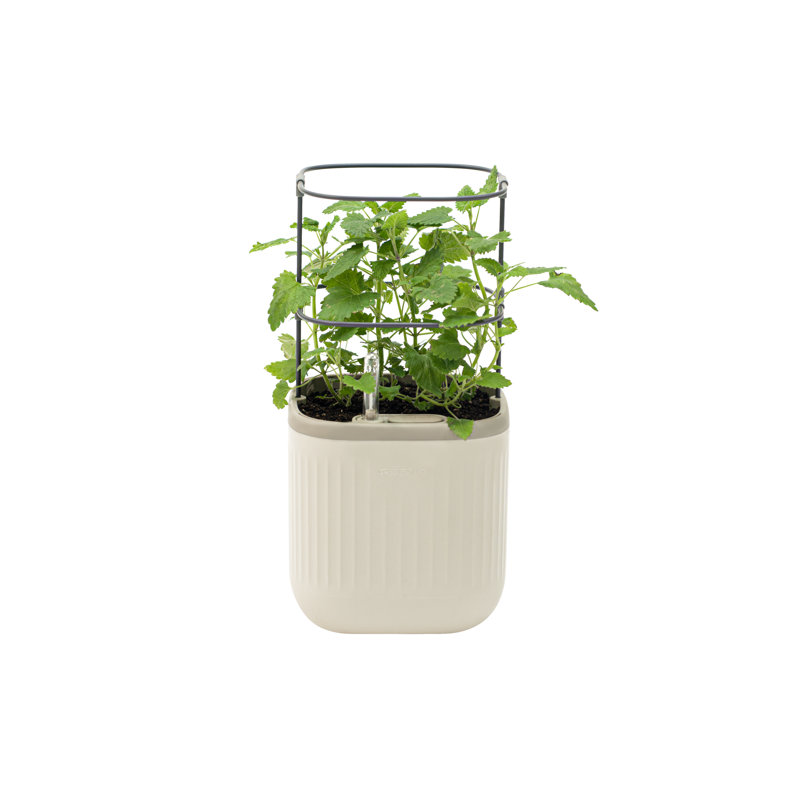 Mini pot à fleurs d'extérieur en plastique avec treillis, Vert sauge, 1