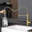 Robinet de cuisine avec douchette extractible en acier inoxydable-116628572