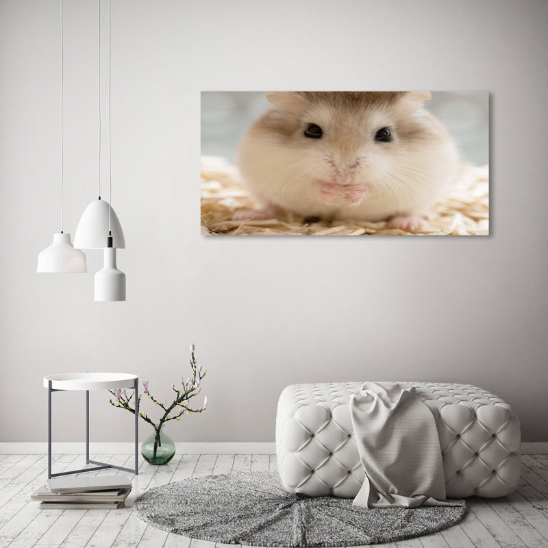 Hamster - Wrapped Canvas Print