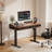 Marshun 48'' W Height Adjustable Rectangle Electric Standing Computer Desk  Home Office Desk with Drawers-907731117