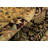 Roby Hand Knotted Wool Oriental Rug
