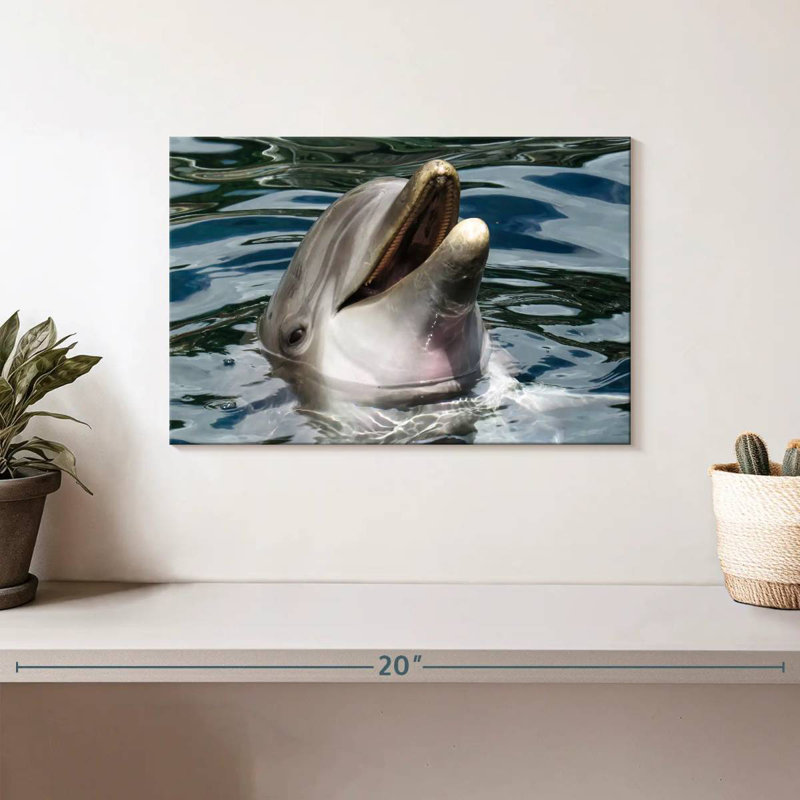 Crowle Peeking Dolphin