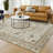 Machine Washable Indoor/Outdoor Chantille ACN2576 Traditional Rug-353034619-353034501