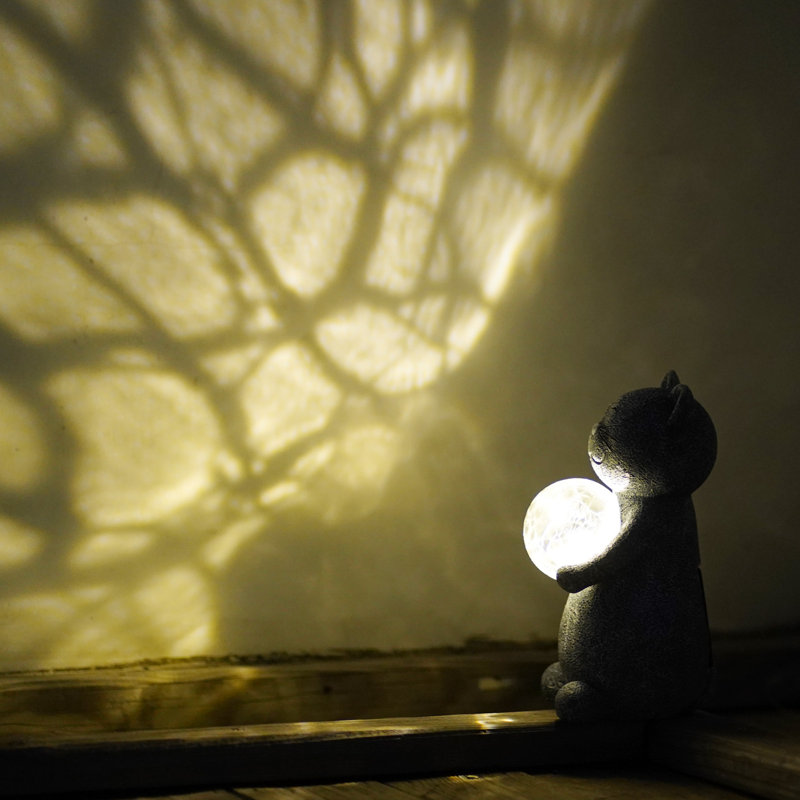 Cat With Solar Ball