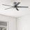 Ventilateur de plafond d'intérieur de 52 po avec télécommande et ensemble d'éclairage inclus Graceshire