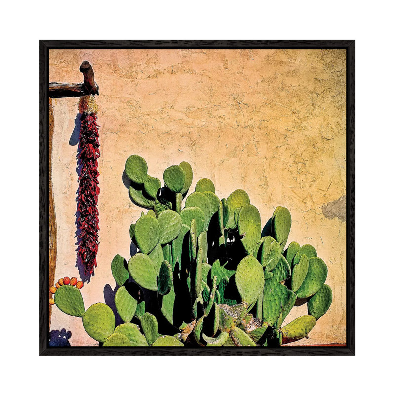 Prickly Pear And Chillis by Mark Paulda - Print on Canvas, Black Floater Framed, 66.04cm H x 66.04cm W x 3.81cm D