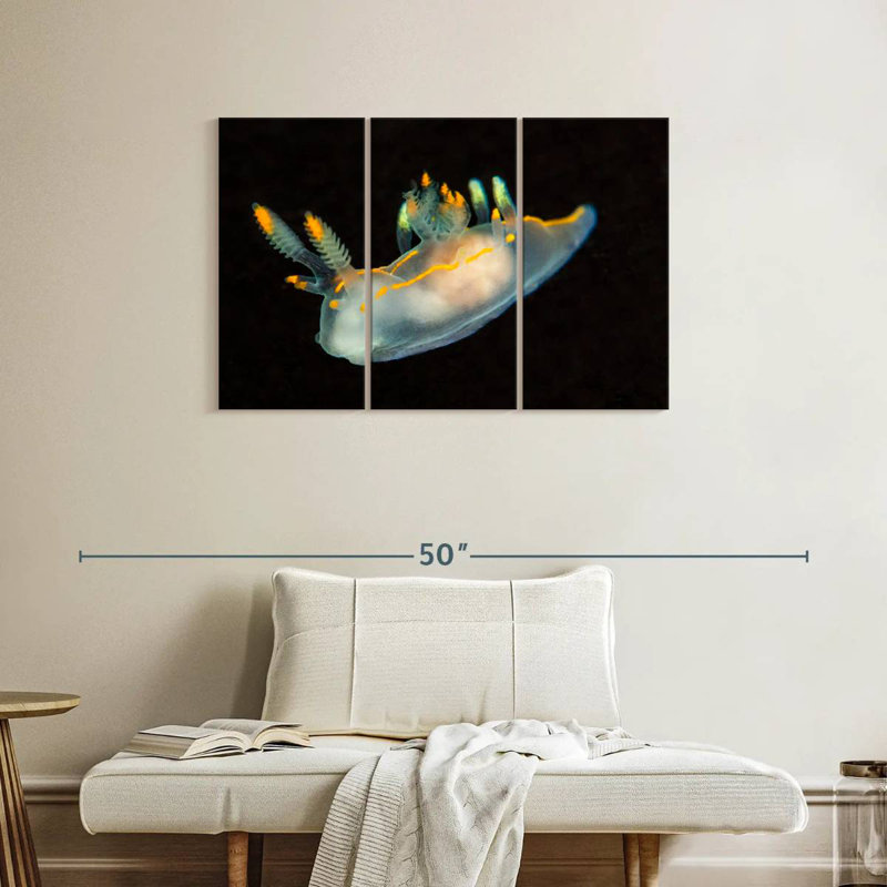 Sea Slug In Dark Waters, 24" H x 38" W