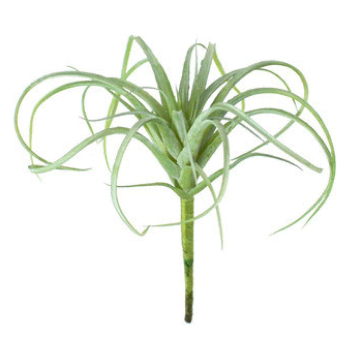 Kalalou 4.5'' Faux Artificilal Plant Plant | Wayfair