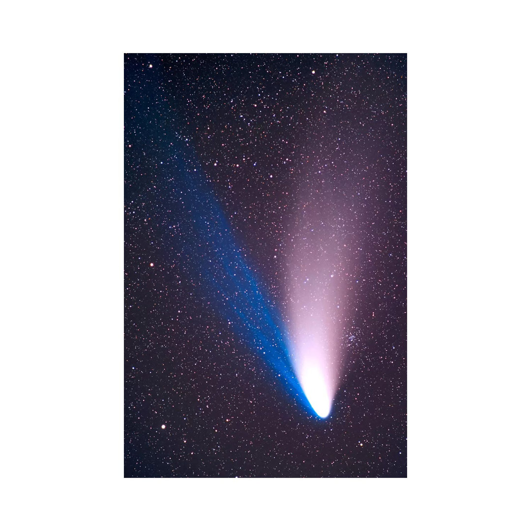 Comet Hale-Bopp, April 7, 1997 by Alan Dyer - Wrapped Canvas Print
