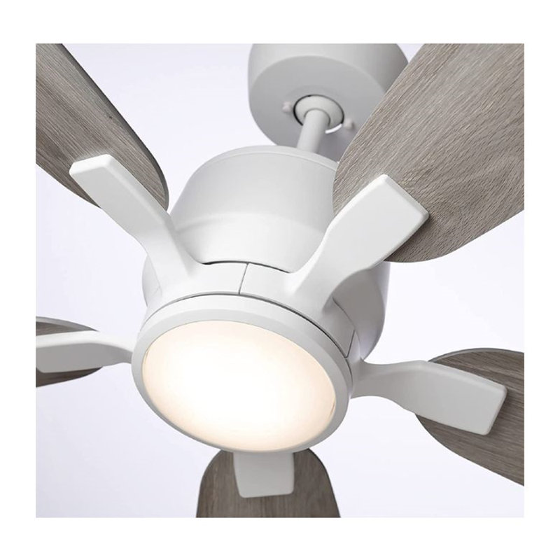 Ventilateur de plafond Ion Eco avec contrôle mural du moteur à courant continu, avec pales en bois massif, 72", Gris