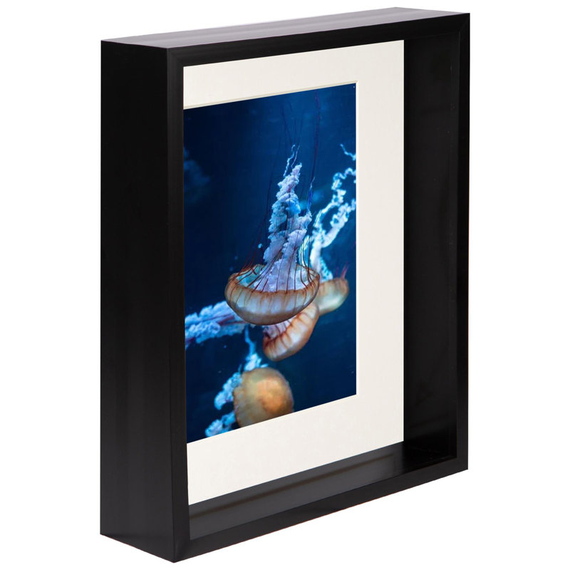 Nicola Spring - 8" x 10" 3D Deep Box Photo Frame - 4" x 6" Mount, Black, 4" x 6"
