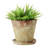 Hillengas Round Cement Planter with Saucer and Distressed Finish-1379896040