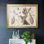 Amaryllis Varietals II, reproduction d'art sur toile-271787504-271787516