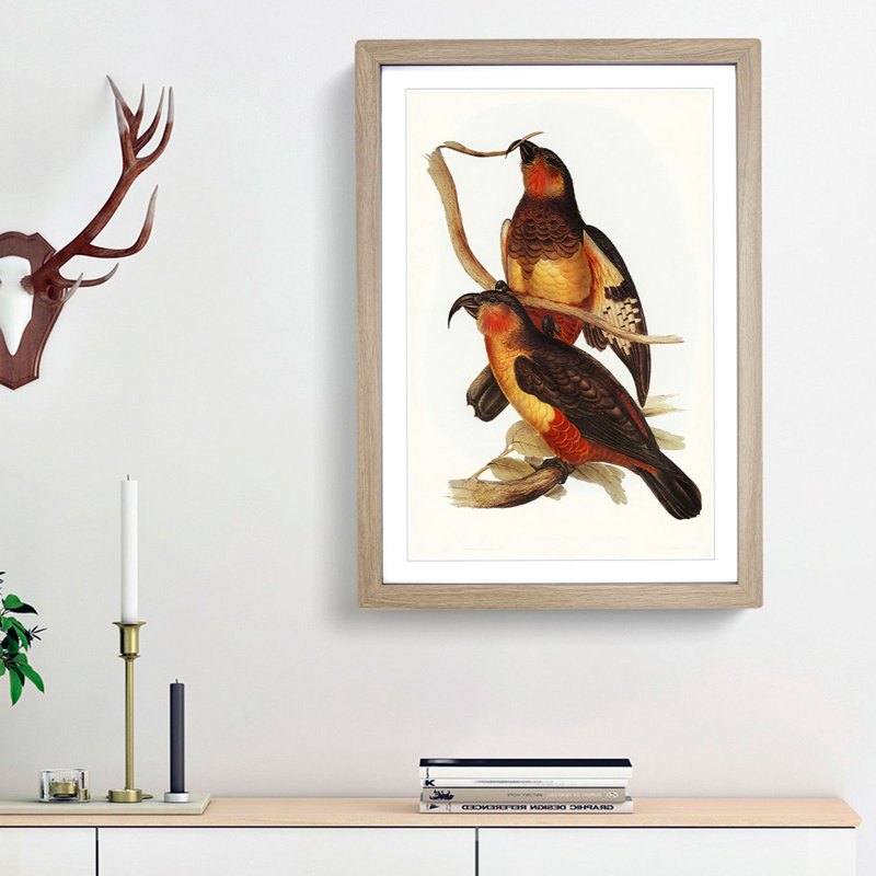 Philip Island Parrots by Elizabeth Gould - Picture Frame Painting Print, 65cm H x 48cm W x 2cm D, Oak Framed