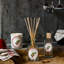 Fruits Diffuser-1215989472