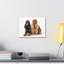 Cocker Spaniel Couple-463643137