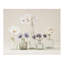 Flower Collection II 1 Piece Wall Art-23824175