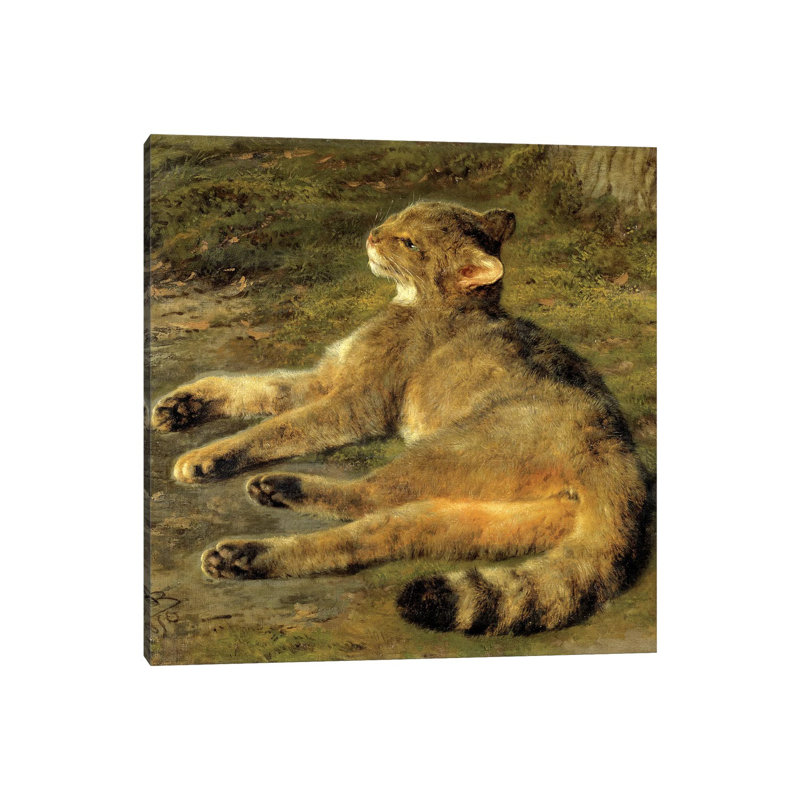 Wild Cat, 1850 by Rosa Bonheur - Wrapped Canvas Painting, 45.72 cm H x 45.72 cm W