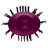 Latitude Run® Oval One Step Volumizer Plus Hair Dryer