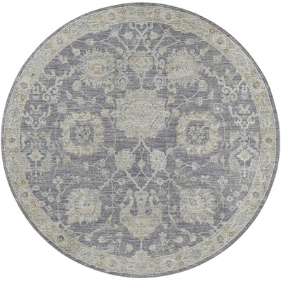 Garlef Machine Woven Oriental Gray/Blue Area Rug