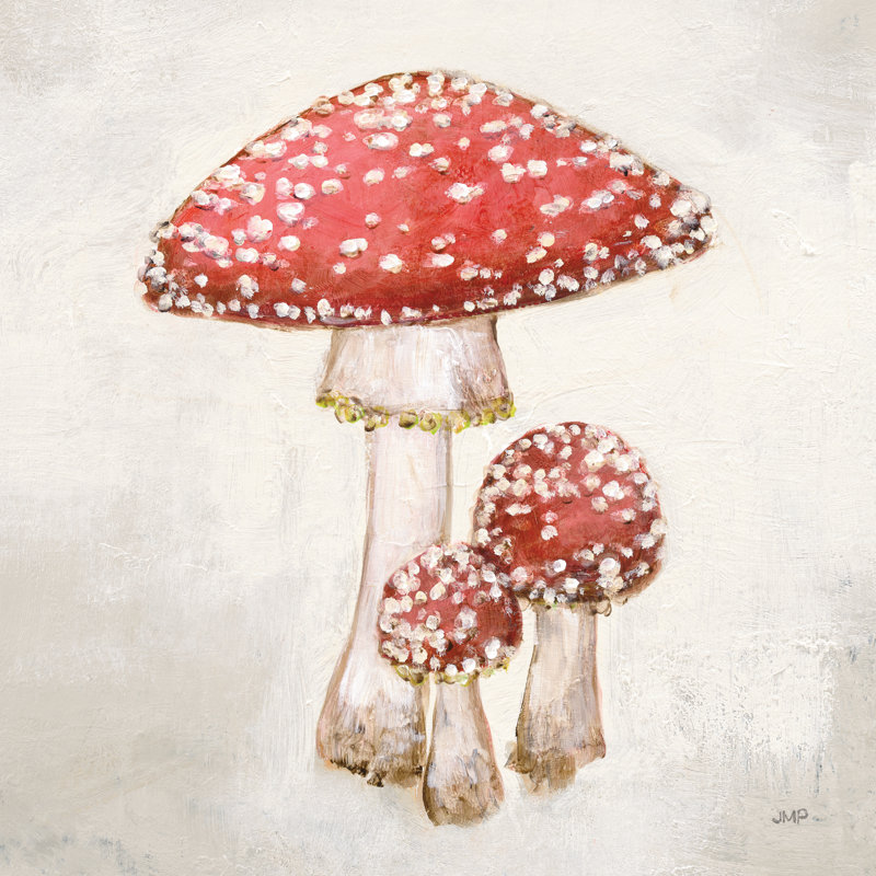 Woodland Mushroom II by Julia Purinton - Wrapped Canvas Painting, 46cm H x 30cm W