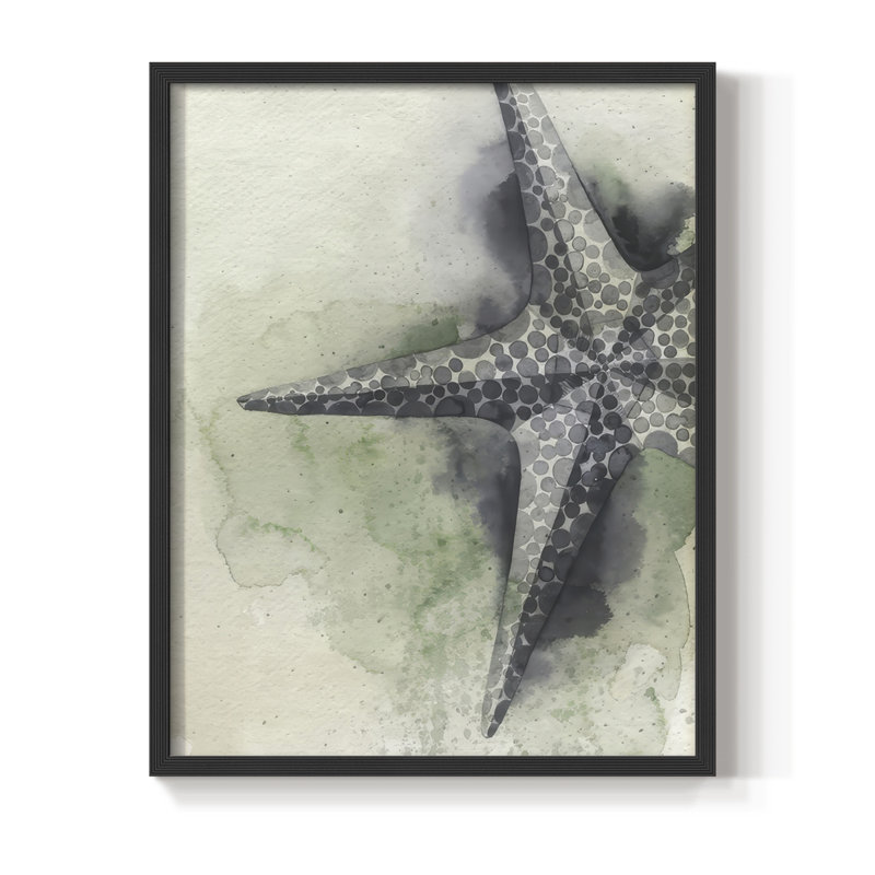 «Found Starfish II», reproduction encadrée - bois massif, H 15 po x l 12 po, Noir, noir, noir, noir
