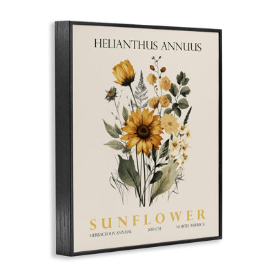 Giclée encadrée de tournesol naturel, conception par Christopher Giampietro