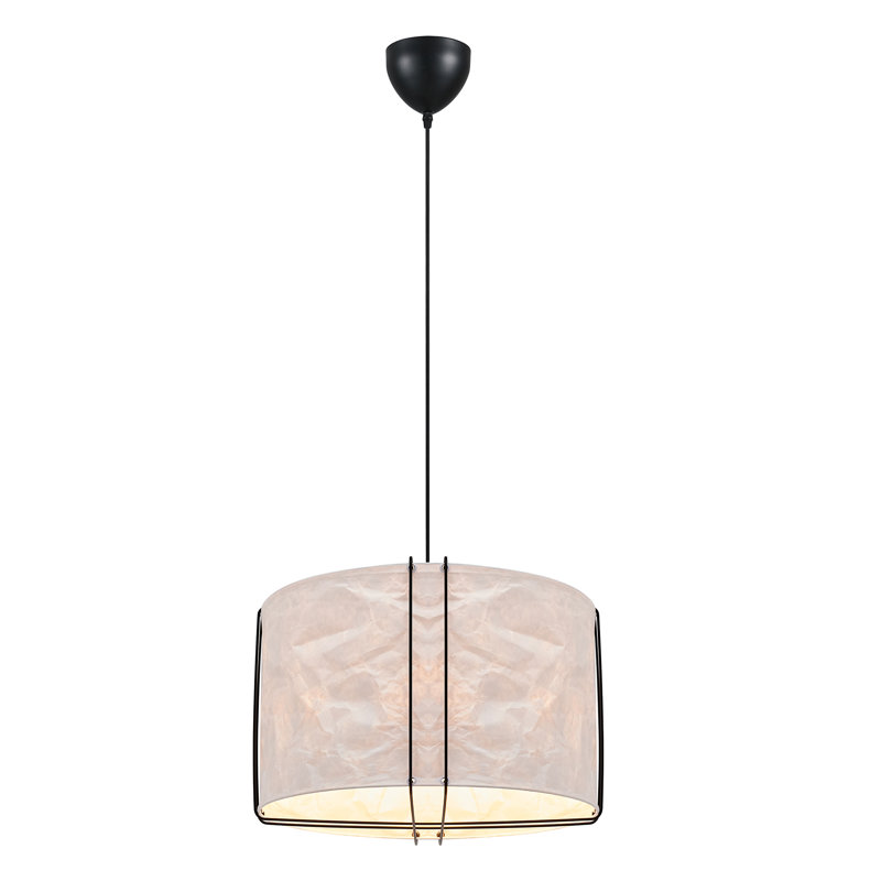 1 - Light Novelty Pendant