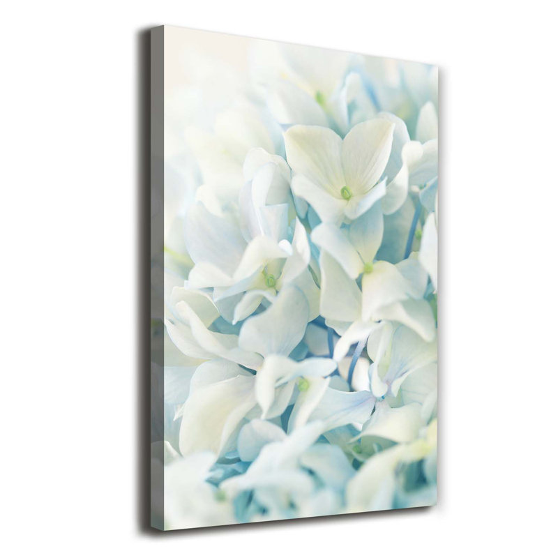Hydrangea Flower - Wrapped Canvas Print