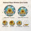 Panneau de vitrail Sunflower-625887550