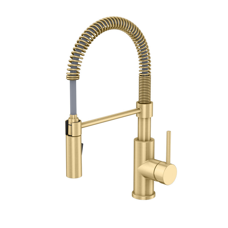 Vetta Pull Out Kitchen Faucet, Gold
